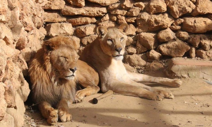 Image 8: Visita al Zoo Castellar