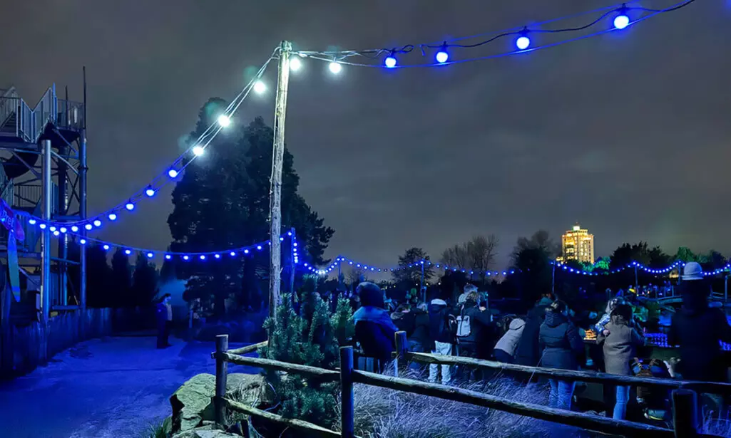 Einrittskarte "Dolfinarium" in Harderwijk, Niederlande für 1 Person