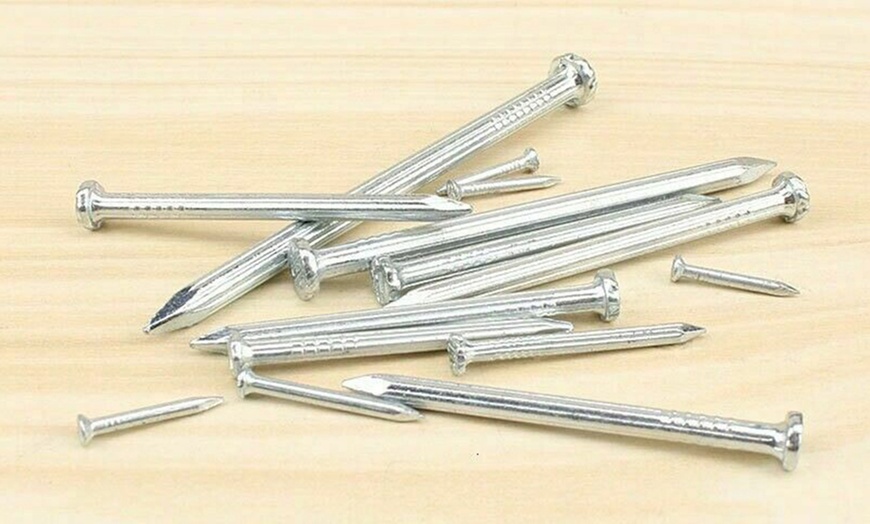 Image 2: Assorted Flat Head Nails Set