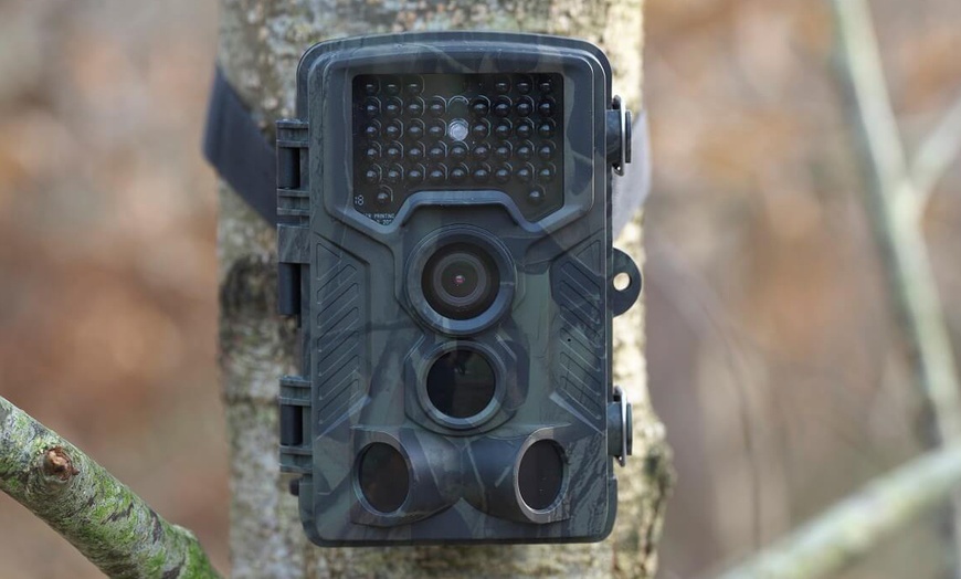 Image 4: 1080p Digital Wildlife Camera