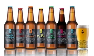 Nine Craft Beer Pack with Glass