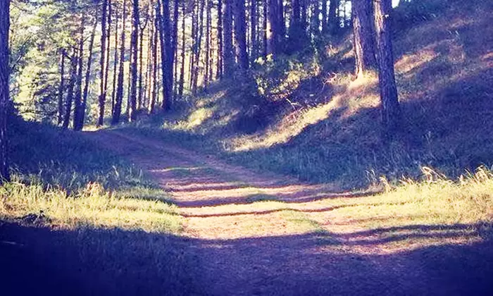 Fast, furious & fit: 5-20x bootcamp buiten in Bloemendaal of Overveen