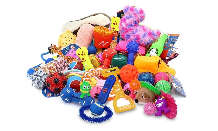 Image 2: 12-Piece Pet Toys Bundle