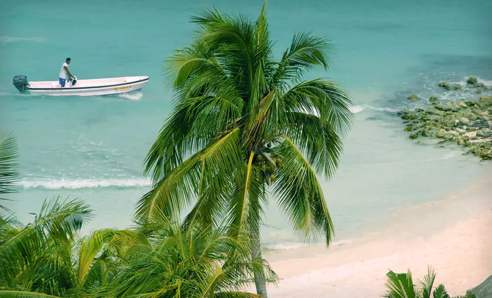 $384 for a Four-Night, All-Inclusive Stay in a Standard Room at Grand Oasis Palm, Oasis Sens, or Grand Oasis Cancun - Second Medium