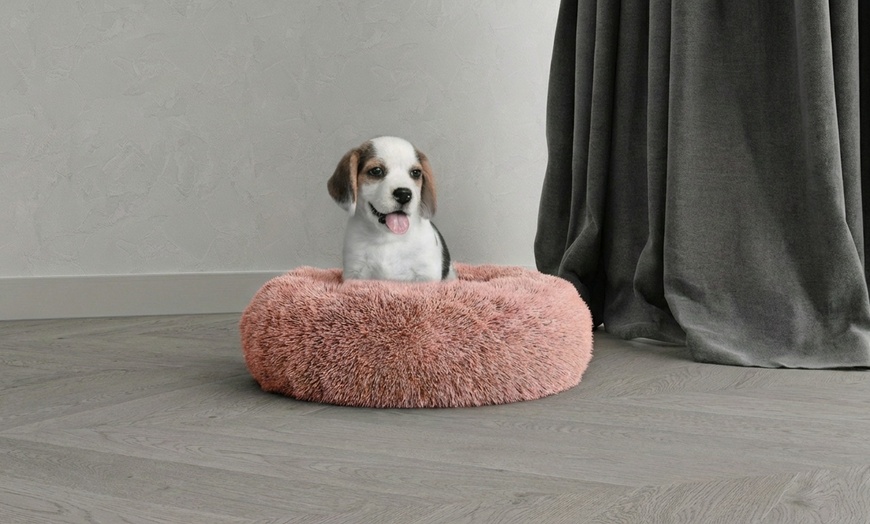 Image 7: Huisdierenbed met verhoogde randen