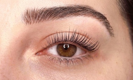 Korean Lash Lift + Tint - Candace Beauty Co