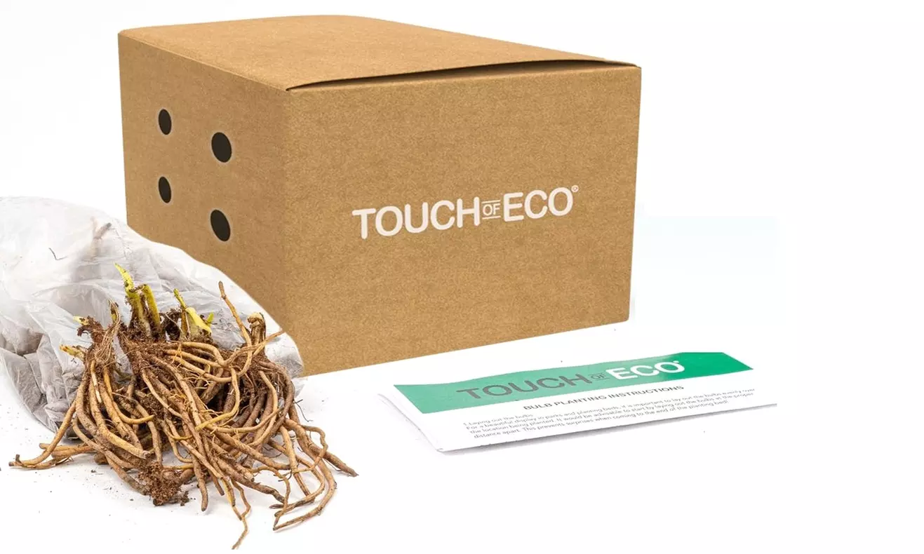 Sweet Lily Of The Valley Flower Bulbs (4-, 8-, 20-Pack With Bulb Planter)