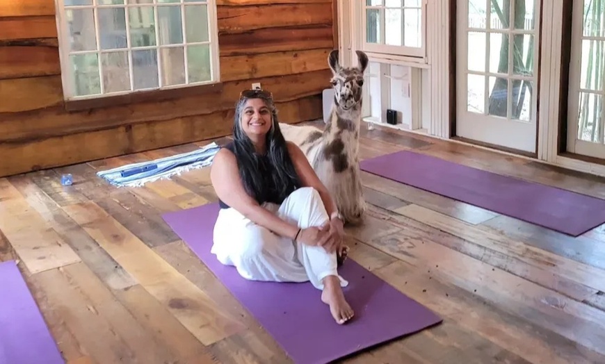 Image 4: Llama Yoga & Alpaca Encounters in Atlanta's Bamboo Forest