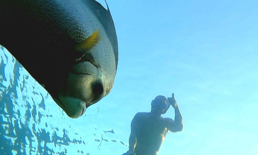Image 4: Guided Snorkeling Adventure in Fort Lauderdale’s Crystal-Clear Waters