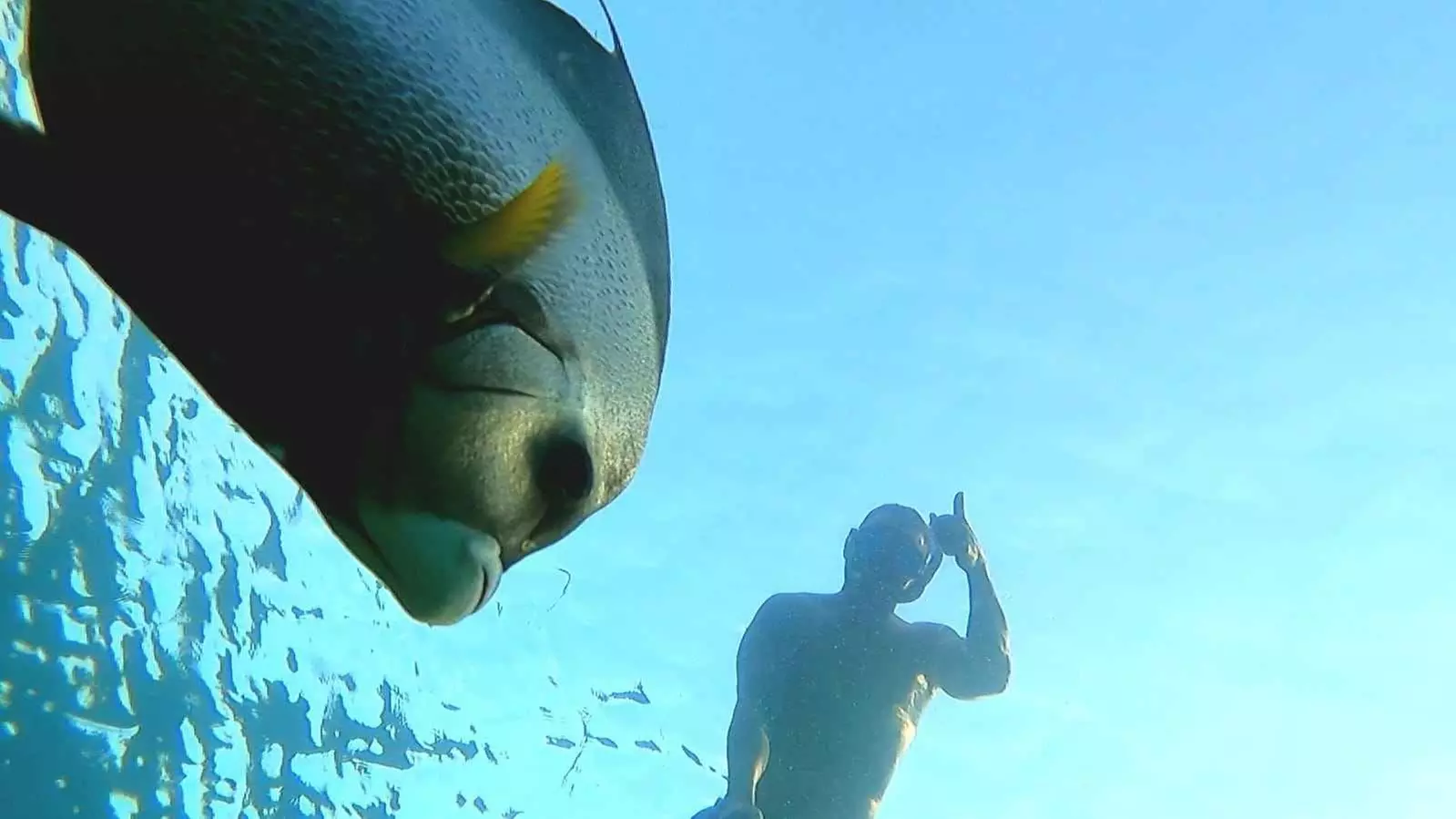 Guided Snorkeling Adventure in Fort Lauderdale’s Crystal-Clear Waters