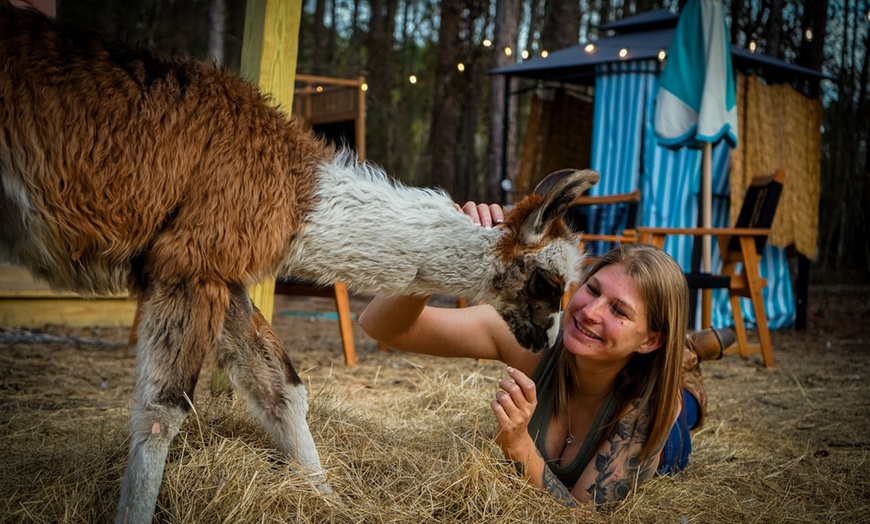 Image 10: Farm Tour at Hodges Hidden Highlands Farm in Middleburg, FL