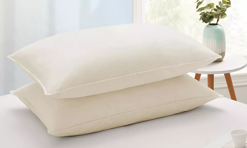 Peace Nest 2 Pack Goose Feather Down Bed Pillows 
