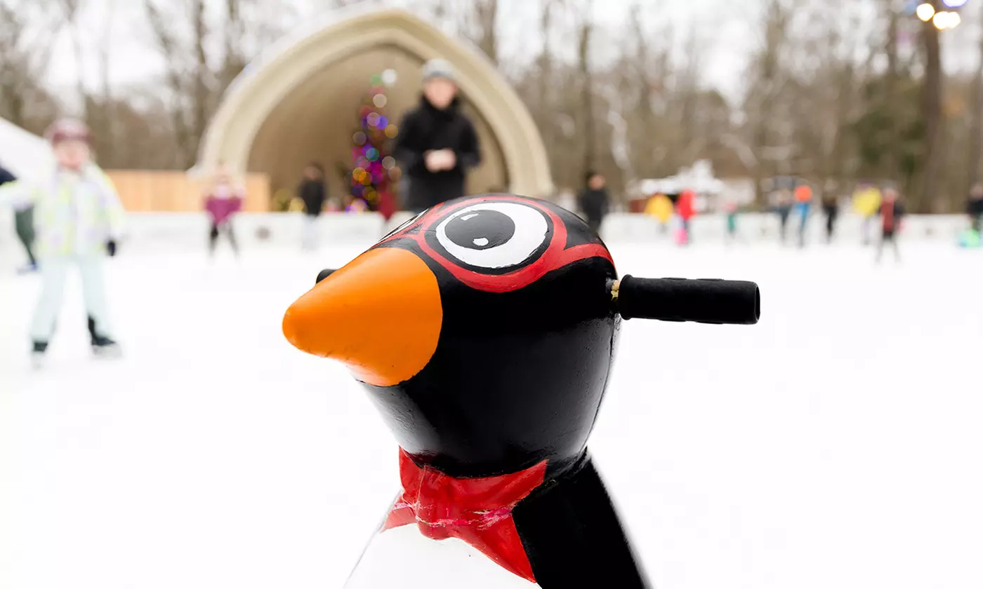1 Std. Eisstockschießen auf 1 Bahn für bis zu 10 Personen