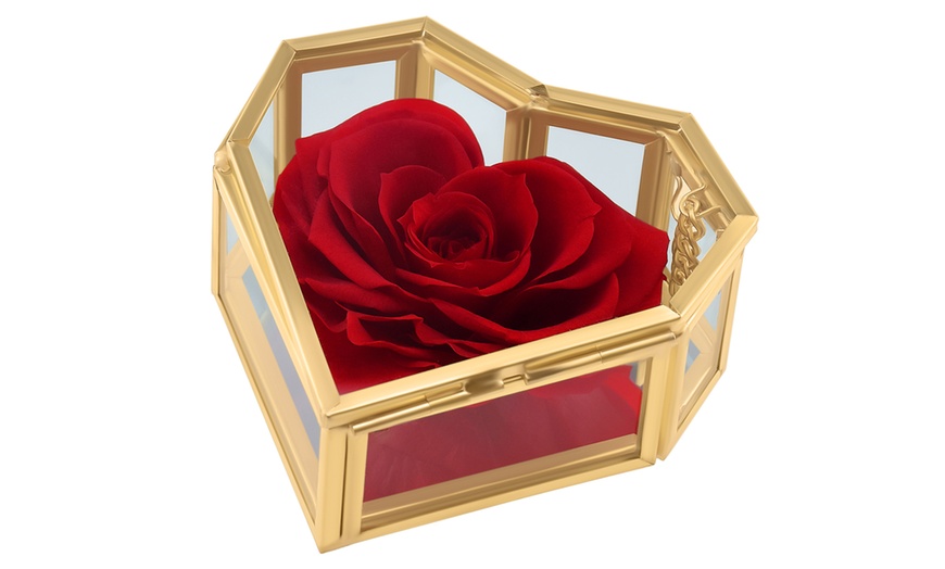 Image 9: Rosa eterna