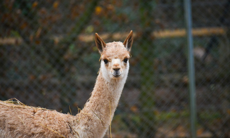Image 20: Vivre les missions d’un soigneur au Touroparc Zoo