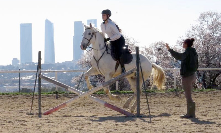 Image 12: Paseo a caballo con todo el material incluido para 1 o 2 personas