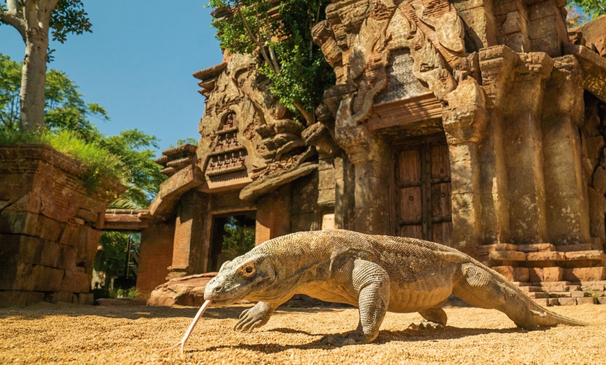 Image 1: Entrada de niño o adulto a Bioparc Fuengirola