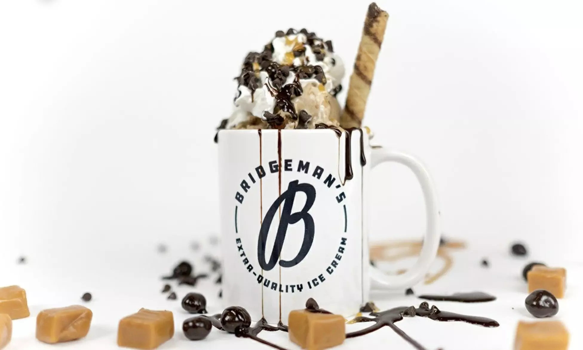 $3.50 for $5 Toward Ice Cream, Sundaes, and Shakes for Takeout or Dine-In at Bridgeman's Ice Cream - Primary Image