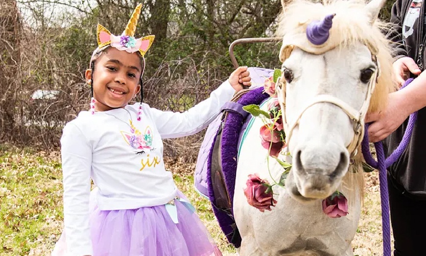 Image 2: Pony Rides for Kids at Chateau Pony Parties