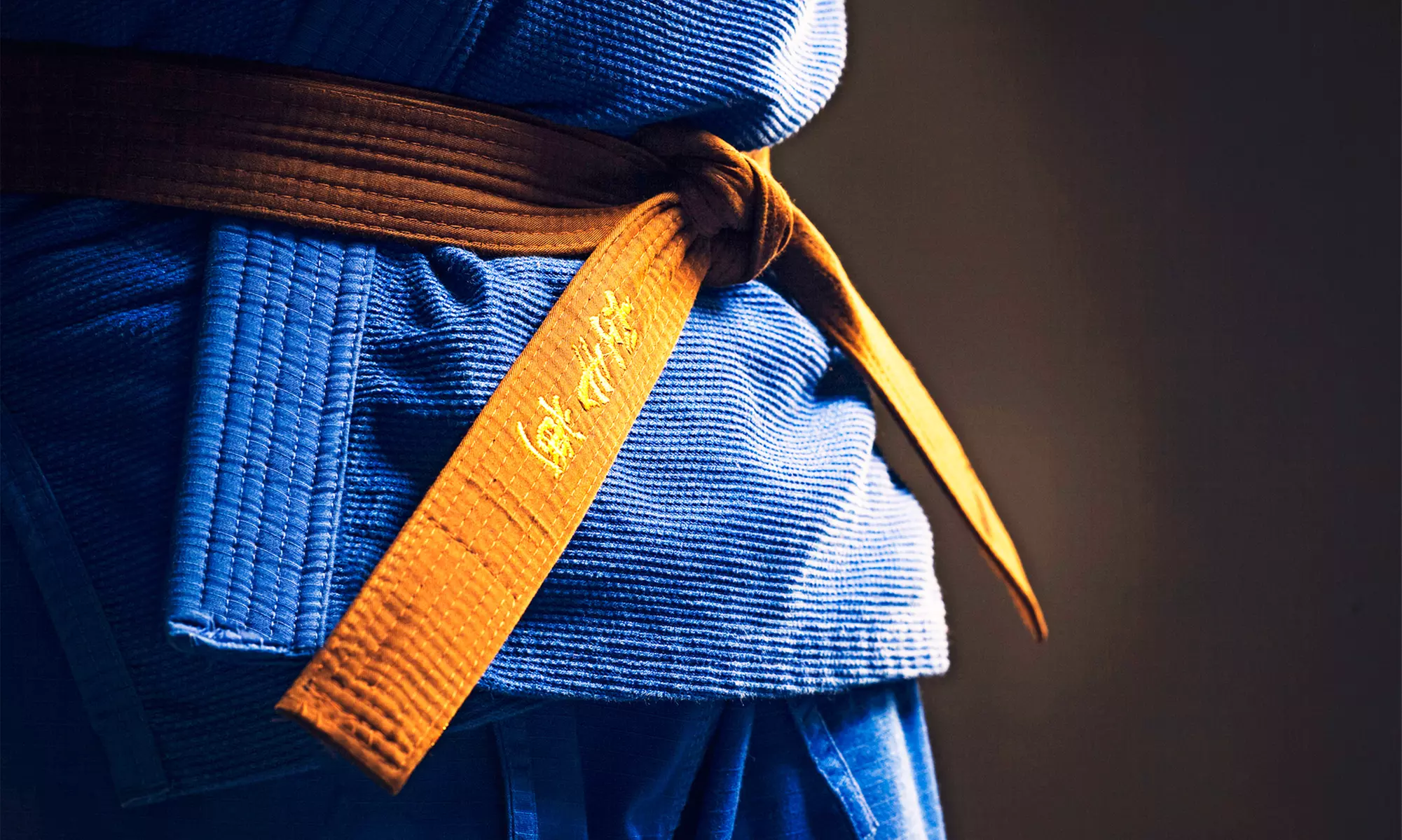 $25 for $50 Worth of Services at Team Flo Brazilian Jiu Jitsu - Primary Image