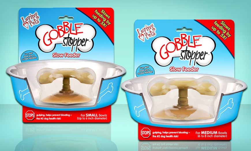 Gobble Stopper Slow Feeders Groupon Goods   C870x524 