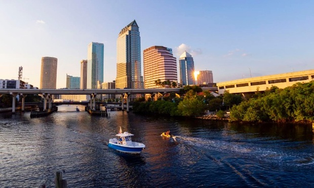 What to expect media