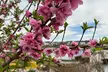 Queen Creek’s Unique Botanical Gardens Offers Admission for All  (Up to 33% Off) - Second Medium