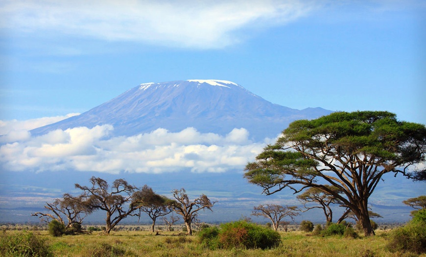 Mount Kilimanjaro Trek in - Arusha, null, Tanzania | Groupon Getaways