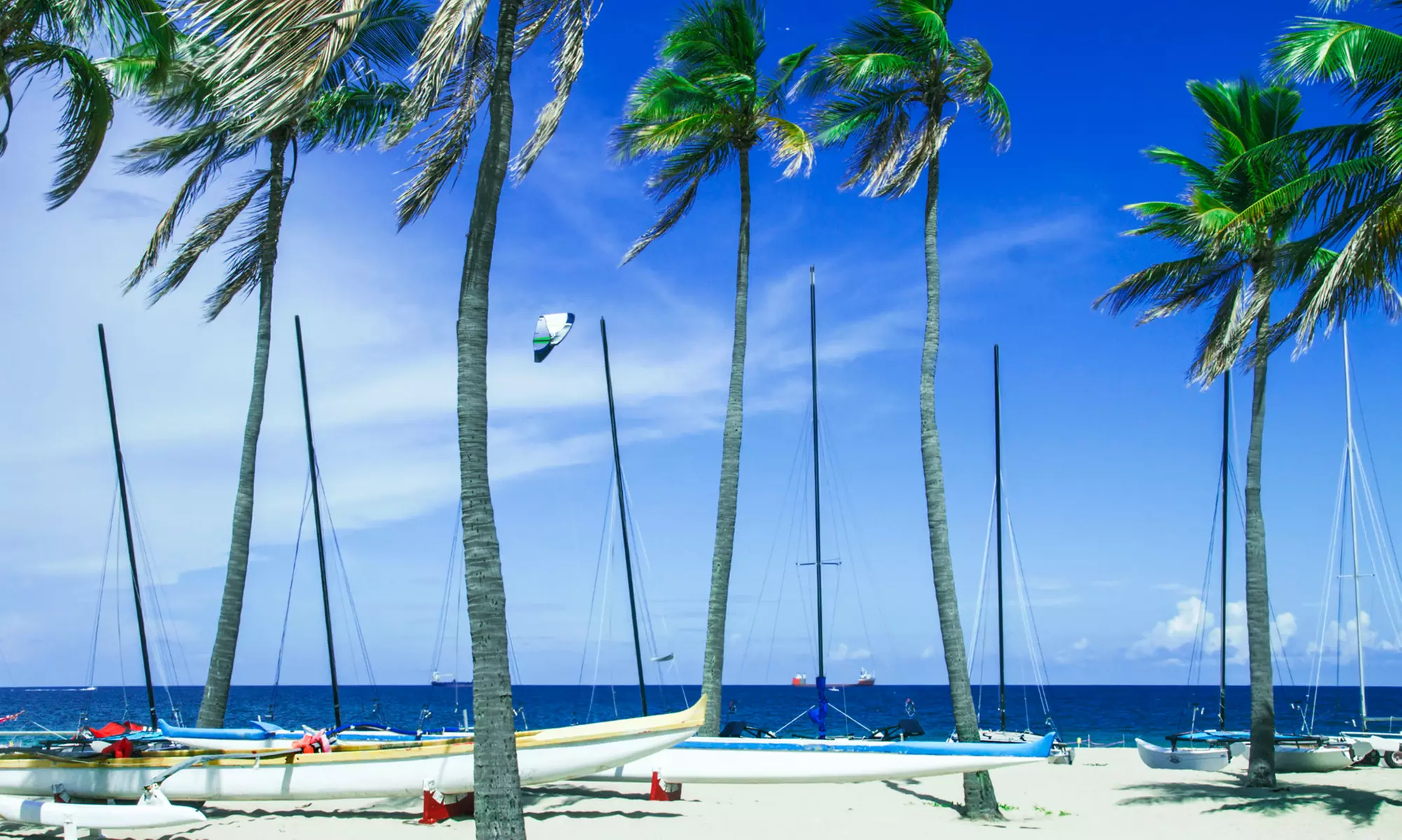 Key West Day Trip and Trolley Tour for One or Two People from Key West Express Bus (Up to 40% Off) - Primary Image