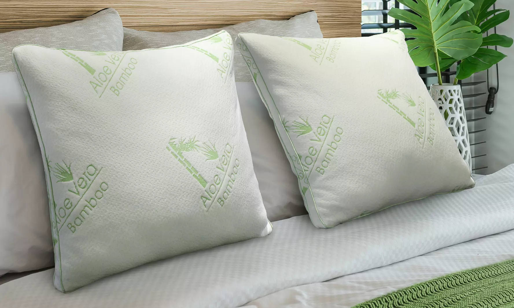 Oreillers "Natura" bambou Aloe vera, moelleux, déhoussable, de la marque Sampur - Primary Image