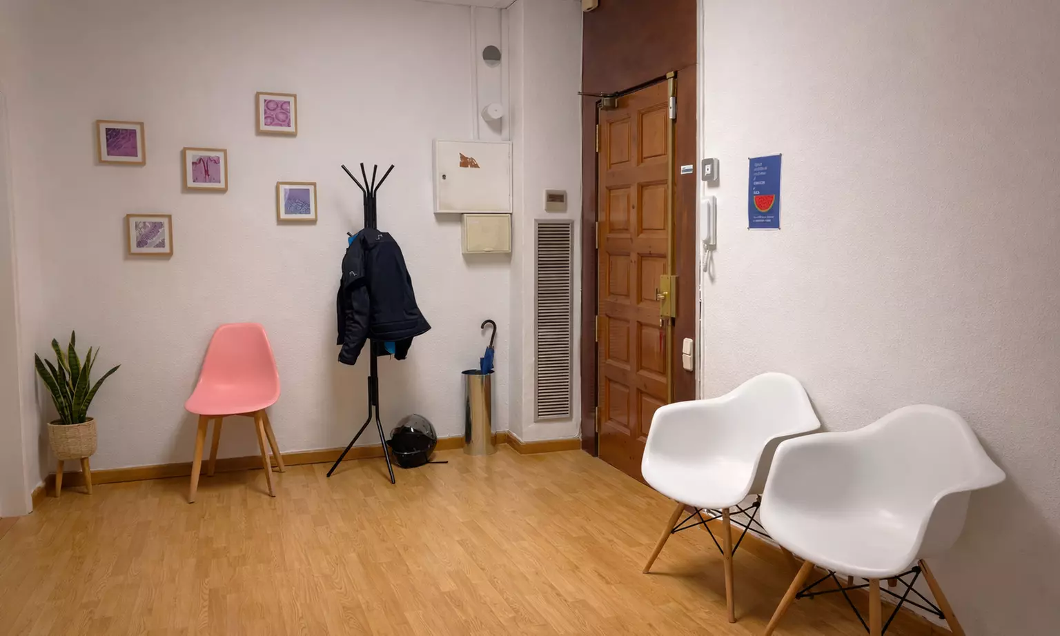 Sesión quiropráctica con examen postural y uno o dos ajustes