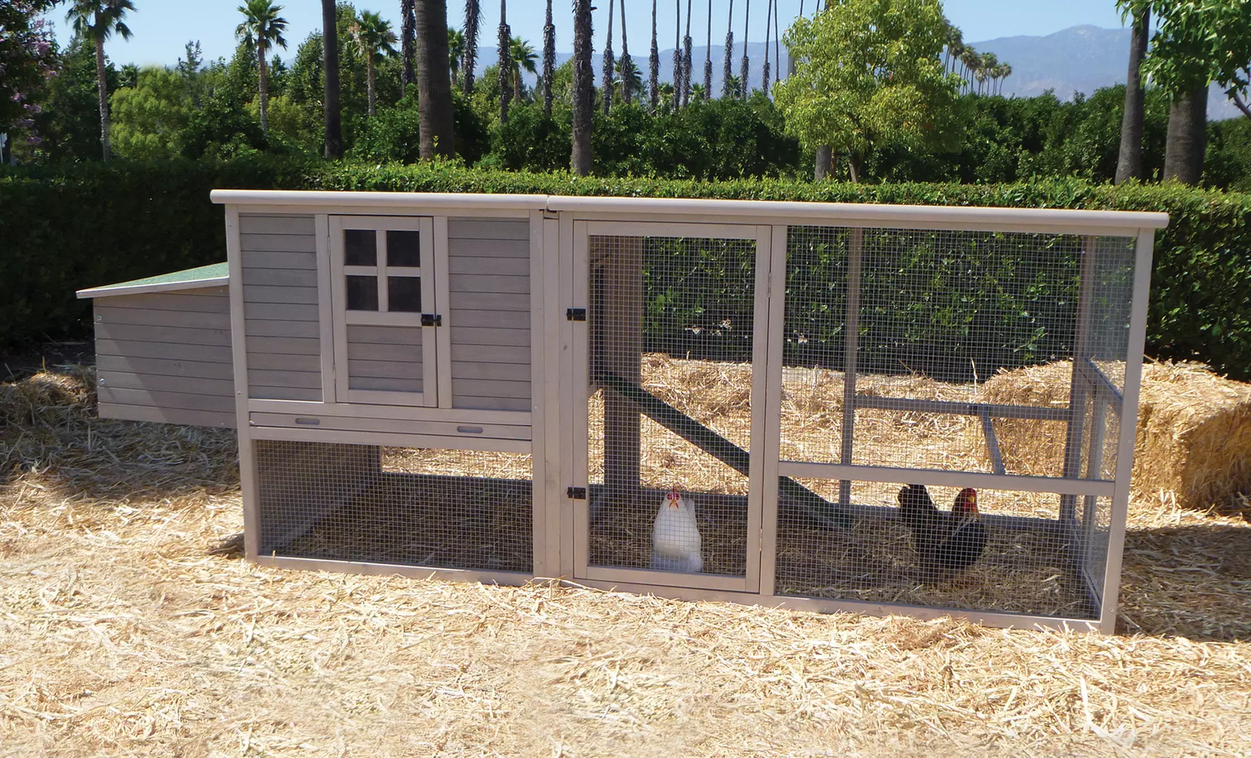 Precision Pet Extreme Hen House Coop - Primary Image