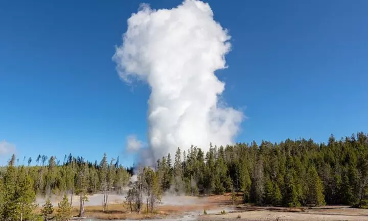 Explore Yellowstone's Full Day Tour with Lunch