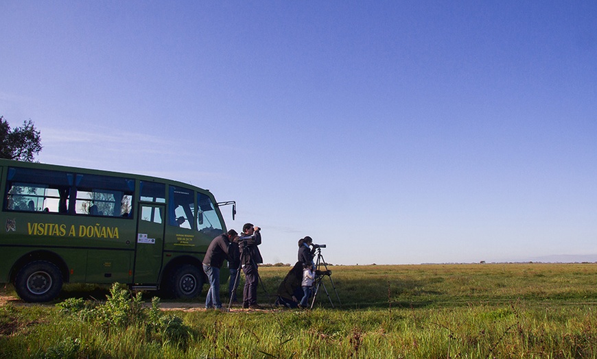 Image 6: Visita guiada al Parque Nacional de Doñana en 4x4 para adulto o niño