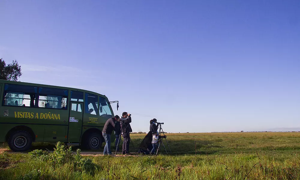 Visita guiada al Parque Nacional de Doñana en 4x4 para adulto o niño