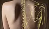 $40 for Pre-Massage MyoVision Muscle Scan, a 60-Minute Swedish Massage, and a 30-Minute Roller Table Massage at TLC Chiropractic Wellness Center ($140 Value)