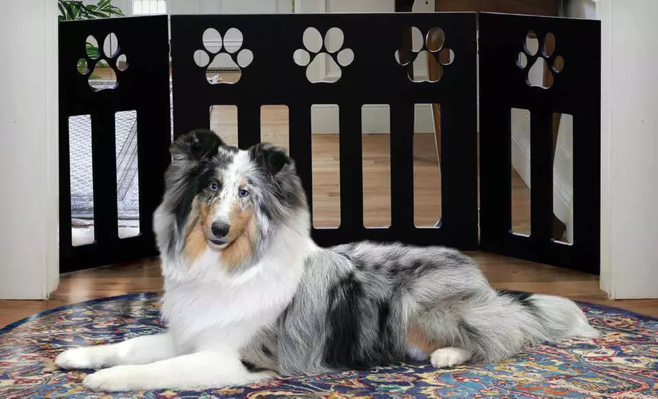$29 for an Adjustable Pet Gate with Paw Detailing (Up to $149.99 List Price). Free Shipping and Free Returns. - Second Medium