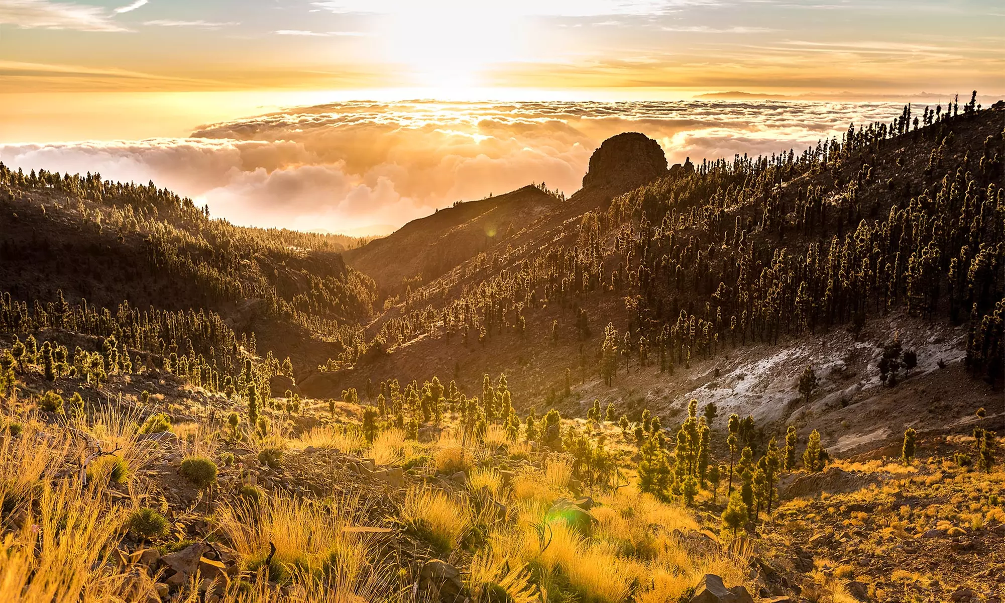 ✈ Tenerife, Estate 2026: Volo diretto più 4 o 7 notti in hotel
