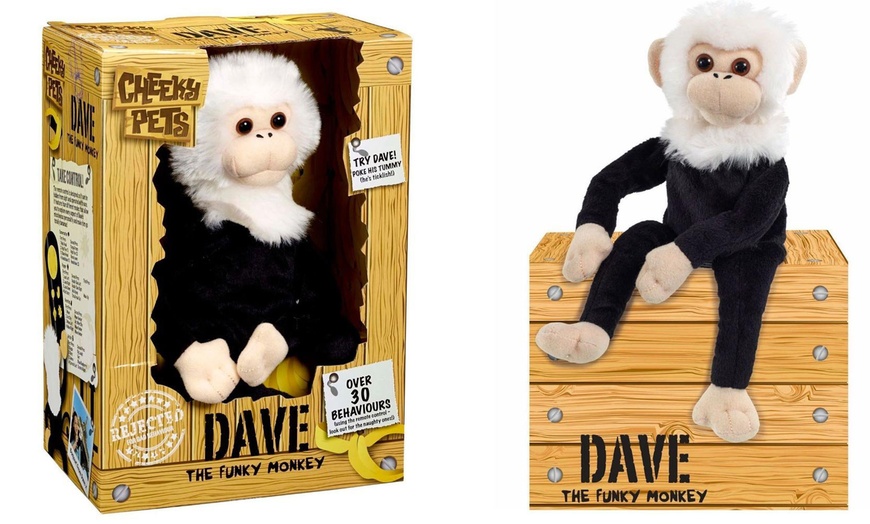 Image 1: Dave the Funky Monkey Plush Toy