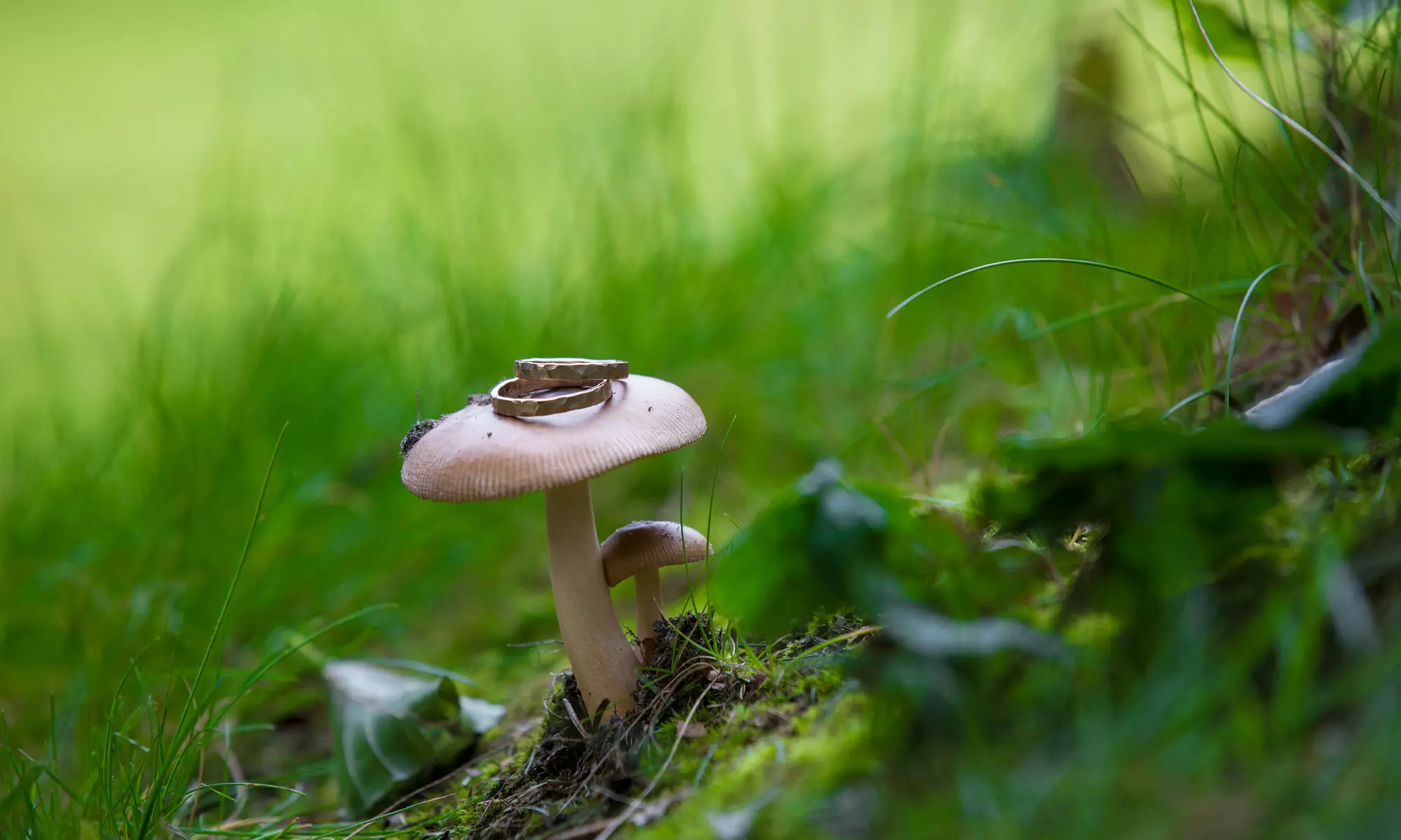 Trouwreportage van 6 uur + foto's