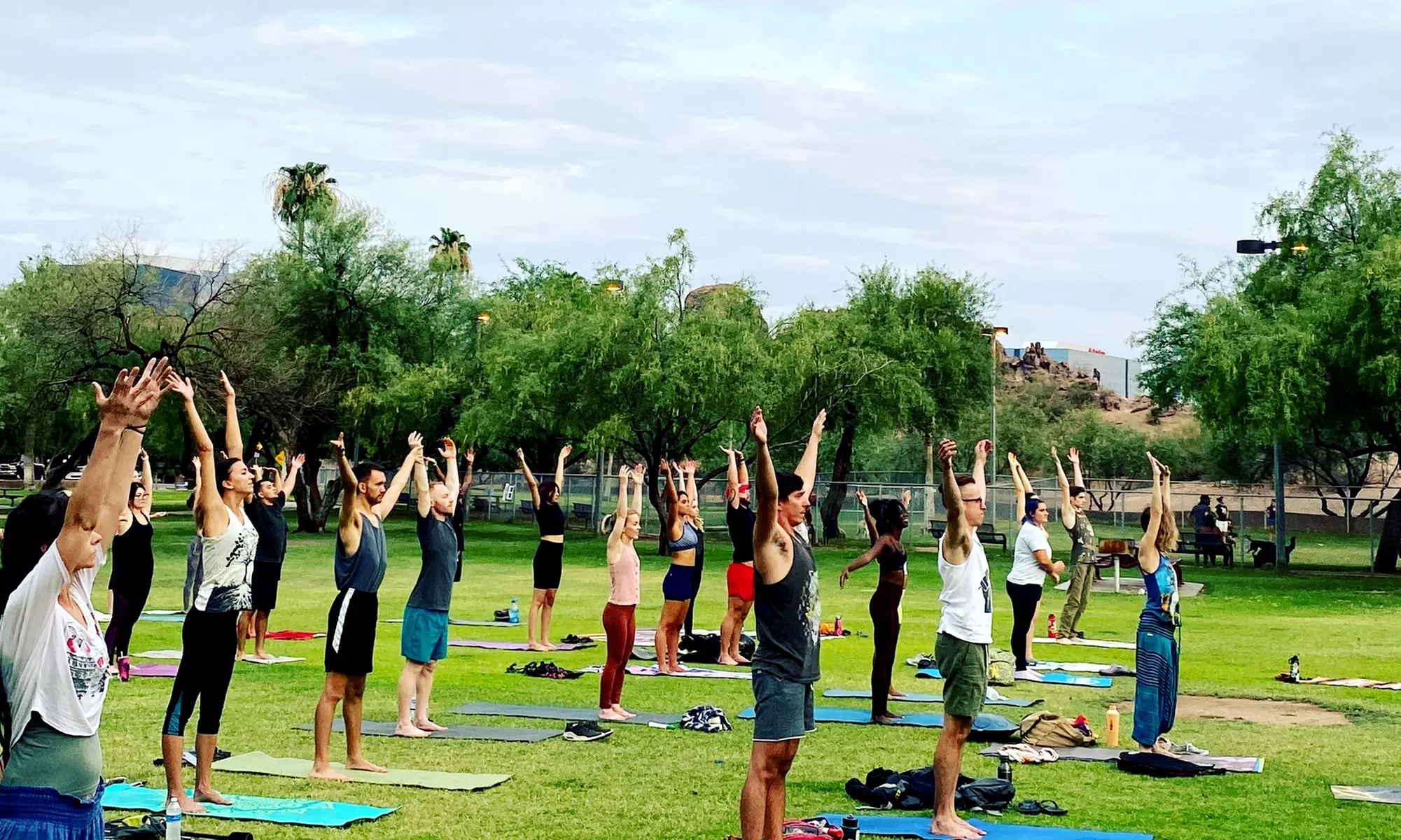 Yoga Masterclass, 5-Class Pack, or 30-Day Challenge for One or Two