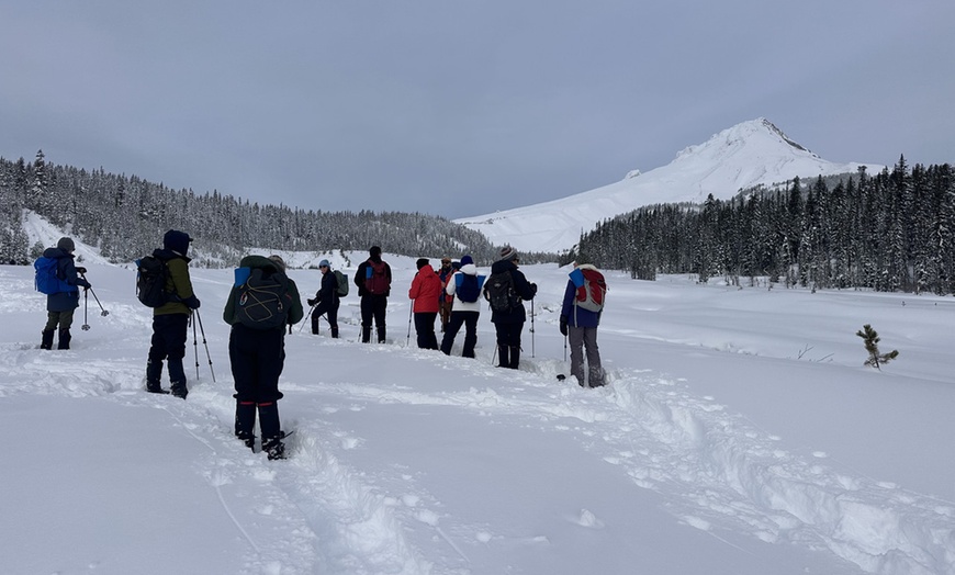 Image 4: Guided Snowshoeing in Mt St Helens or Mt. Hood for 4 Hours