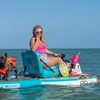 Image 1: Two-Hour Private Electric Boat Rentals for One, Two or Four People