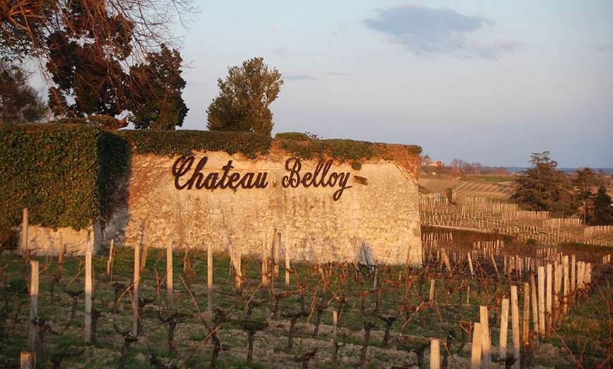 Image 5: Séjour œnologique au choix pour 2 pers. à La Villa du Château Belloy