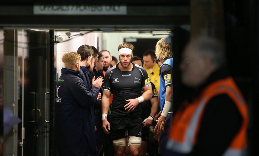 Image 3: Newcastle Falcons Rugby - Challenge Cup Tickets (Up to 75% Off)