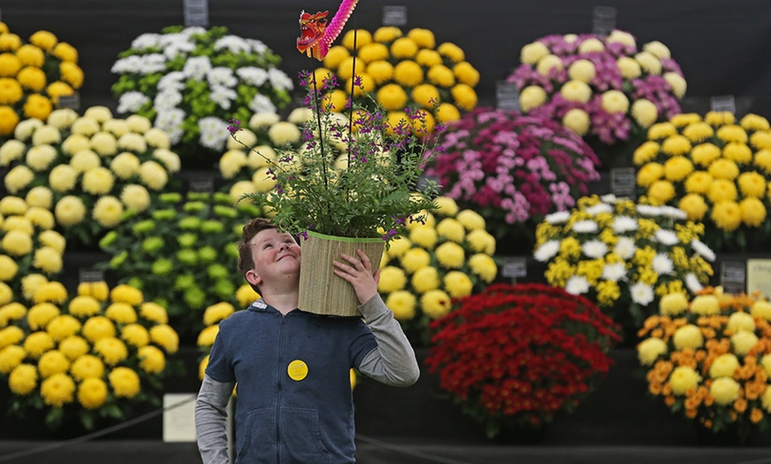 Image 8: Southport Flower Show Tickets