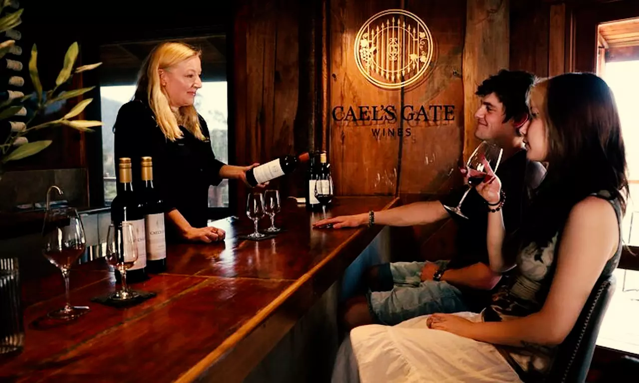 Wine Tasting Experience with Reserve Options and Private Guide