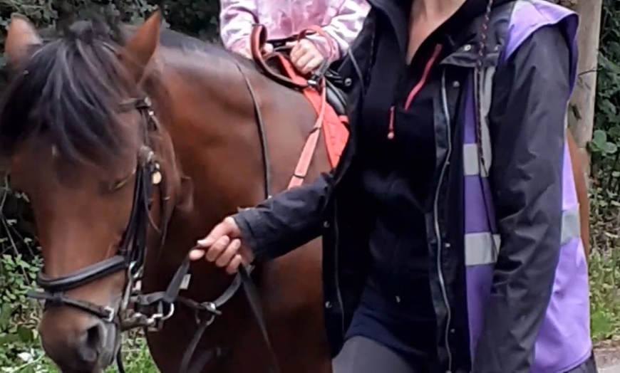 Image 4: Riding and Non-Riding Equestrian Experience