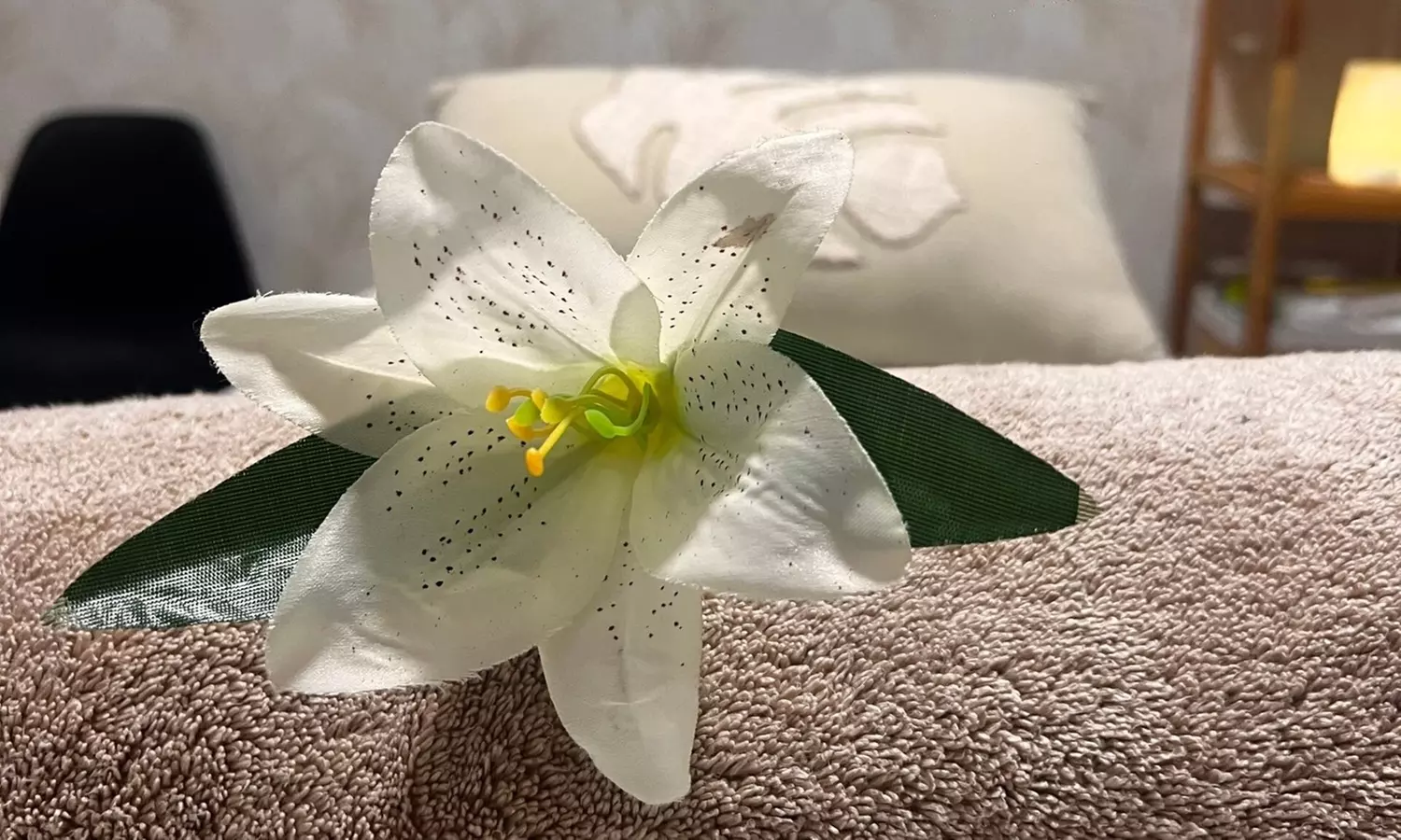 Limpieza facial flash en 8 pasos o VIP en 10 (40 o 60 minutos) para 1