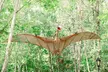 Walk Among Dinosaurs - General Admission for 2,3 or 4 People at Prehistoric Park(Up to 29% Off) - Second Medium